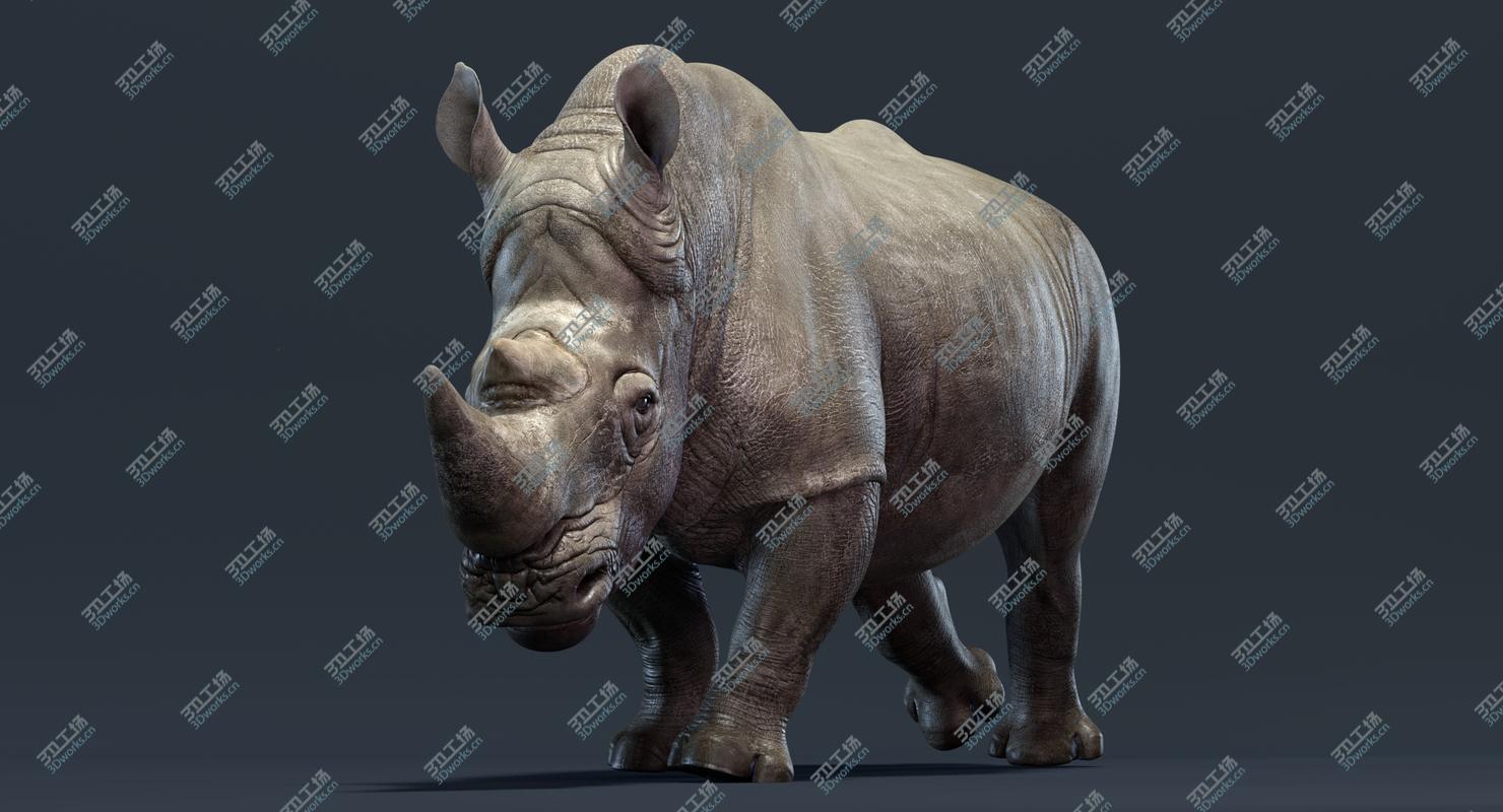 images/goods_img/20210313/Rhino Family (Animated) 3D/3.jpg